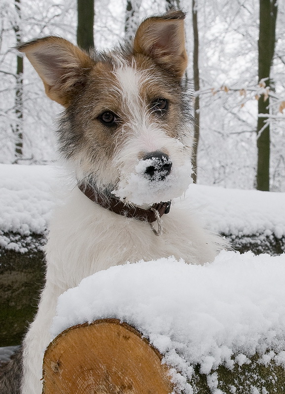 Felix D35_3953 als Smart-Objekt-1 Kopie.jpg
